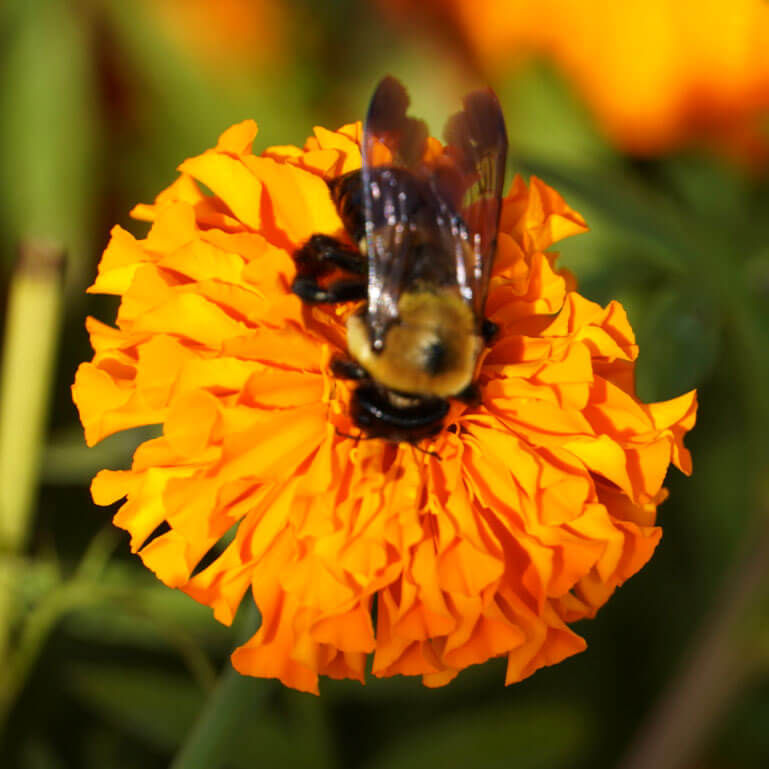 Photo by Bob Benenson