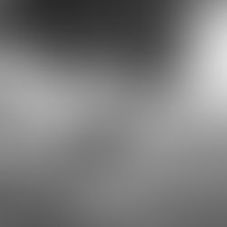 Nicolette Hahn Niman’s Journey and the Regenerative Case for Meat 