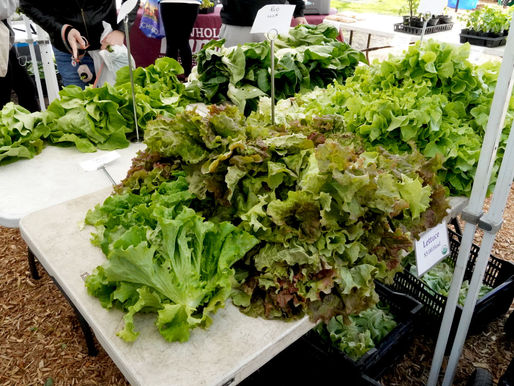 Salad Days Start Early at Chicago's First May Markets