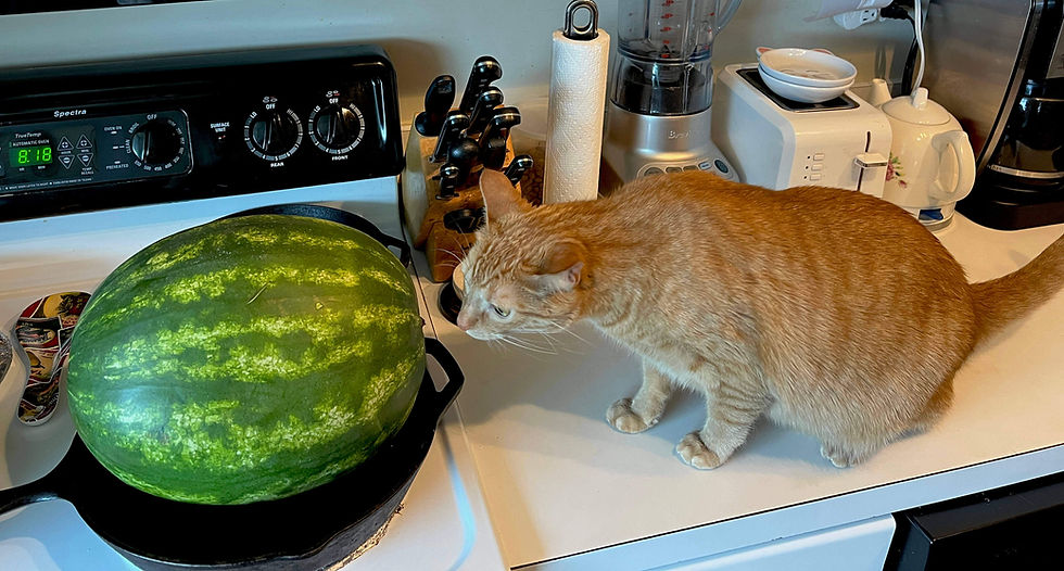 Photo by Bob Benenson