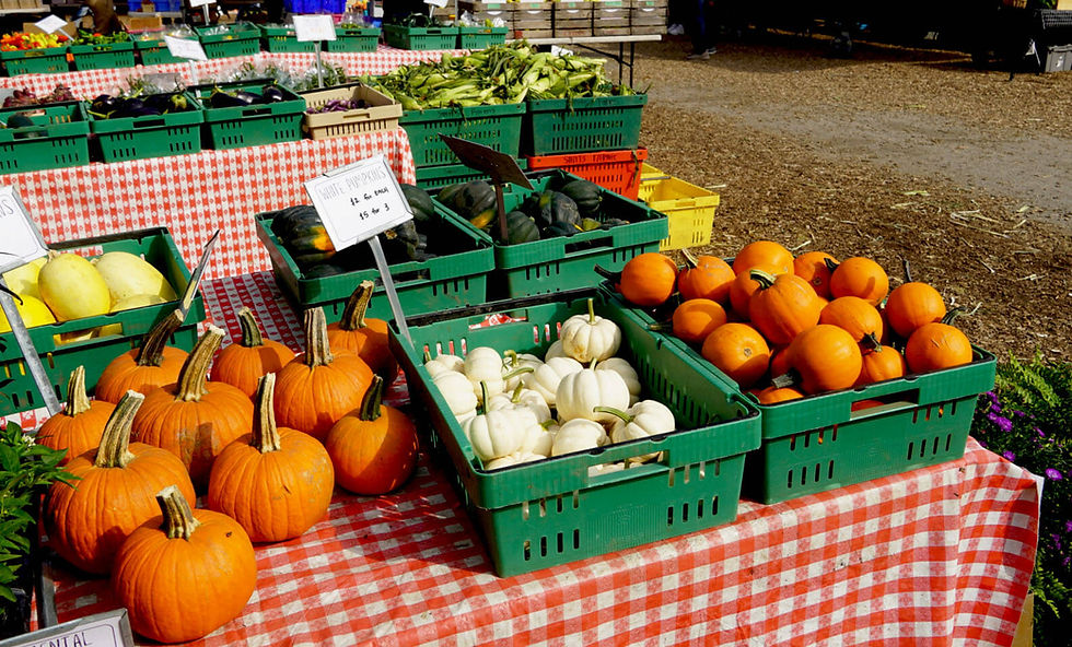 Local Food Forum Chicago Region Farmers Market Tracker
