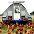 New Illinois Law Means Access to More Local and Sustainable Poultry