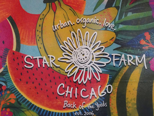 Star Farm Chicago at 10: Growing Food, Community, and Opportunity