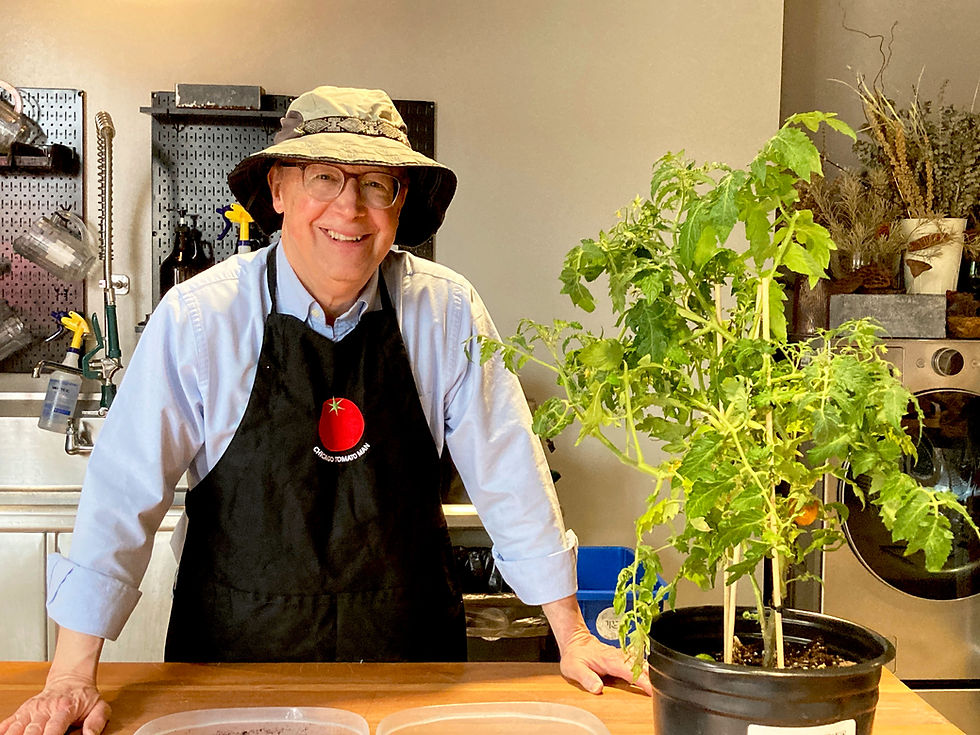 Chicago Tomato Man Needs Your Vote for Chicago Innovation Award