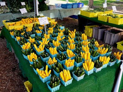 Spring Debuts of Summer Crops Raise Hope for Bumper Season