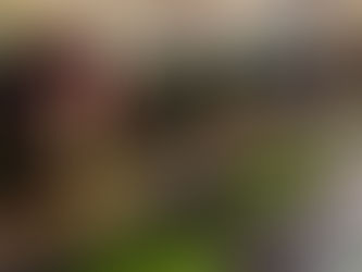 Winter Farmers Market Season Is Hitting Its Full Stride 