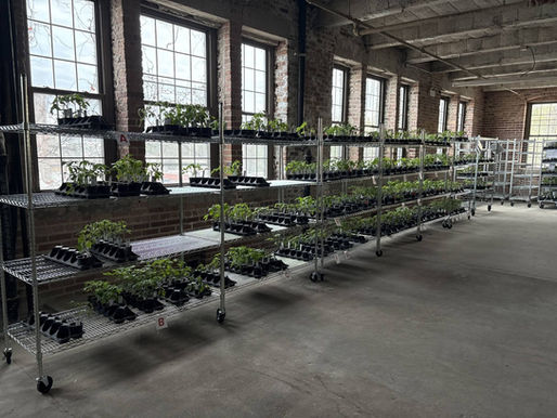 Hyperlocal: Chicago Tomato Man Needs New Warehouse Space