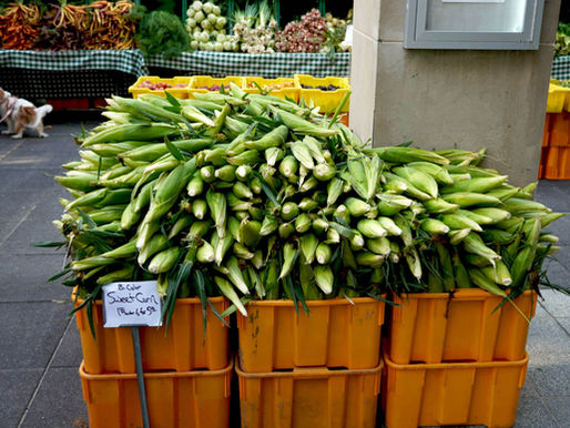 Piled High by Mid-July? Get Ready 'Cause Sweet Corn's A-Comin'