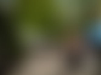 This Week's Market Sked: Popular Logan Square Market Opens Sunday