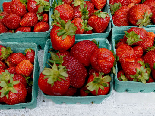 BREAKING NEWS! 1ST OF SEASON STRAWBERRIES HIT CHICAGO