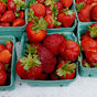 BREAKING NEWS! 1ST OF SEASON STRAWBERRIES HIT CHICAGO
