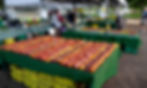 2026 photo of Nichols Farm & Orchard's stand at Green City Market in Chicago's Lincoln Park. Nichols was one of nine farms participating when Green City Market launched in 1999; its original location was downtown in the ally next to the Chicago Theater. Photo by Bob Benenson
