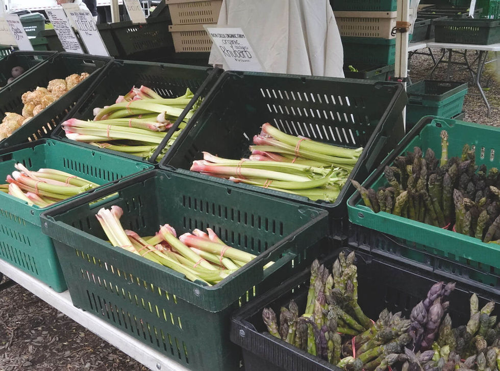 Photo by Bob Benenson