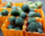 Watermelons are among the newest in-season crops to hit Chicago region markets. We found this at the Nichols Farm & Orchard stand at downtown Chicago's SOAR Farmers Market on August 5. Photo by Bob Benenson