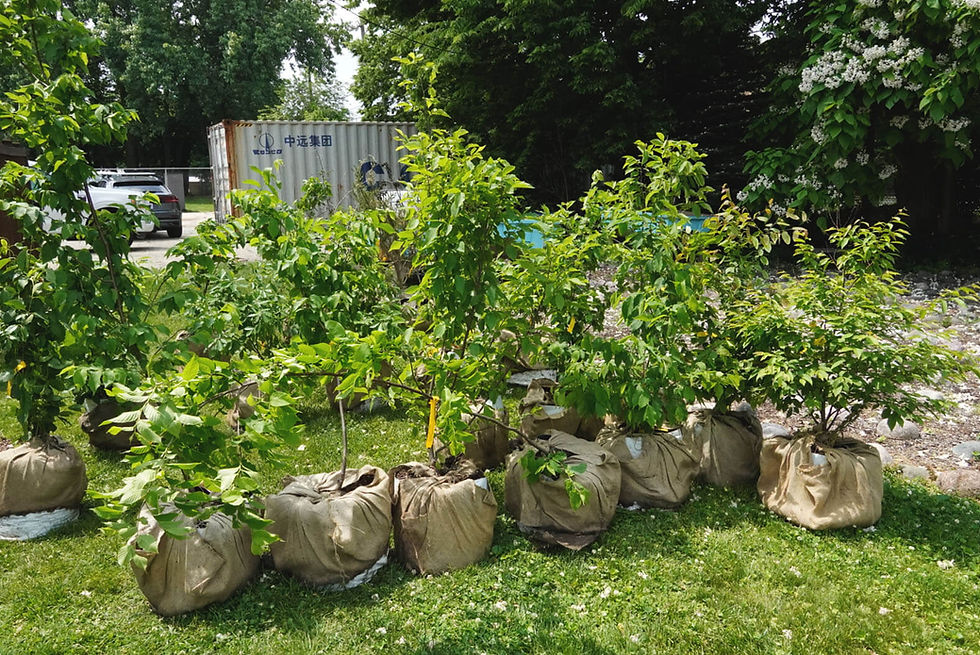 Follow-Up: Just Roots Chicago Celebrates Its Farm Season Kickoffs