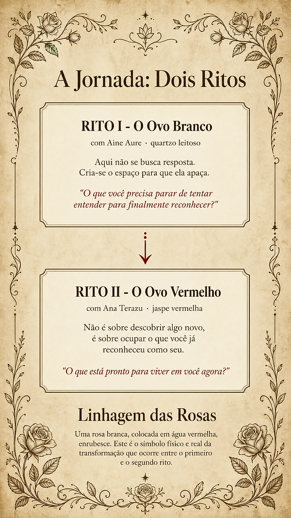 storyboard_ritos_vertical.png