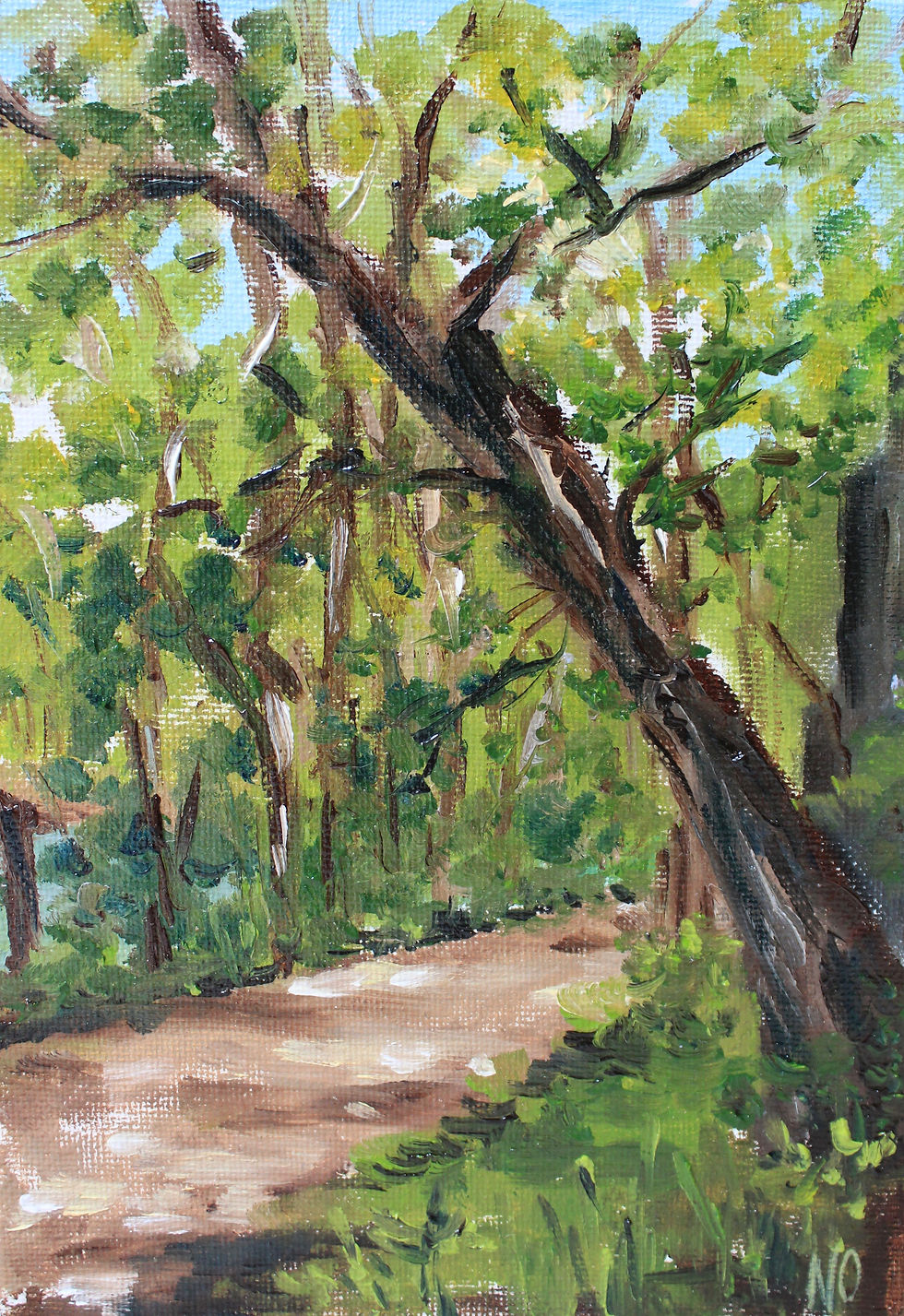 Chessie Trail