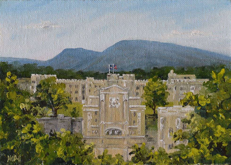 View of VMI from Diamond Hill