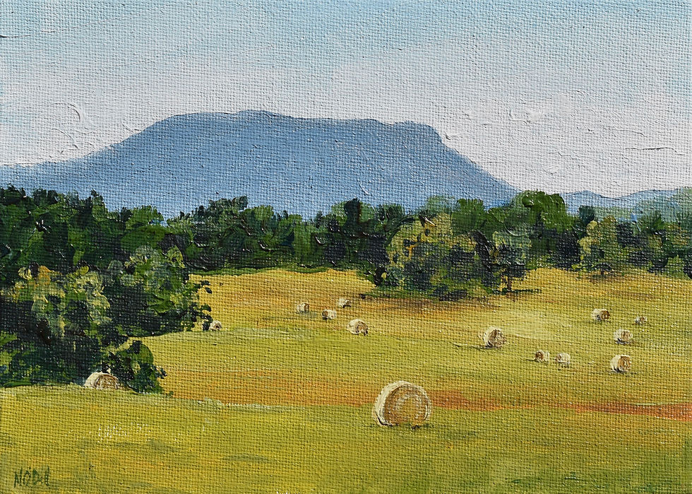 View of House Mountain from Maury River Road