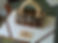 3383546124_9f8aafda1f_1_-231x170