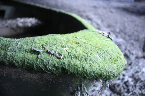 Close up (Macro) pictures of boat decay...