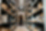 MCPhotographe-Juin2024-53.jpg