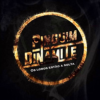 pinguim dinamite.jpg
