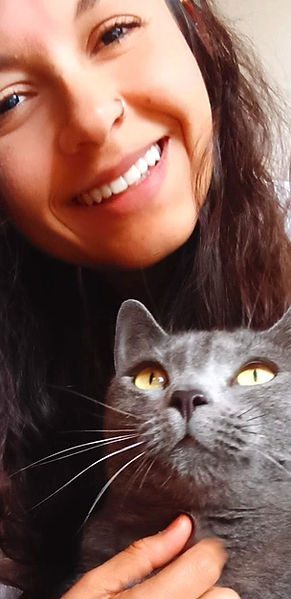 online cat behavior consulting
