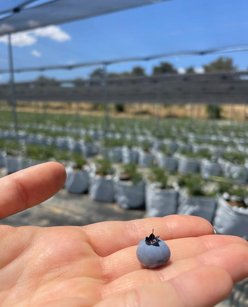 WhatsApp Image 2025-09-21 at 22.16.55 (2).jpeg