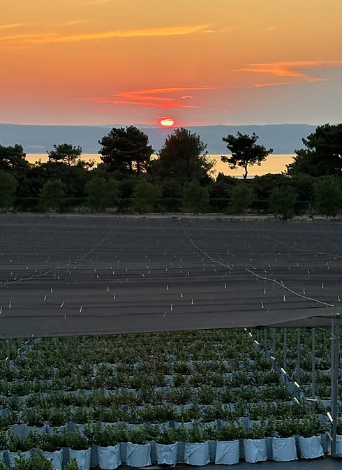 WhatsApp Image 2025-09-21 at 22.16.55 (23).jpeg