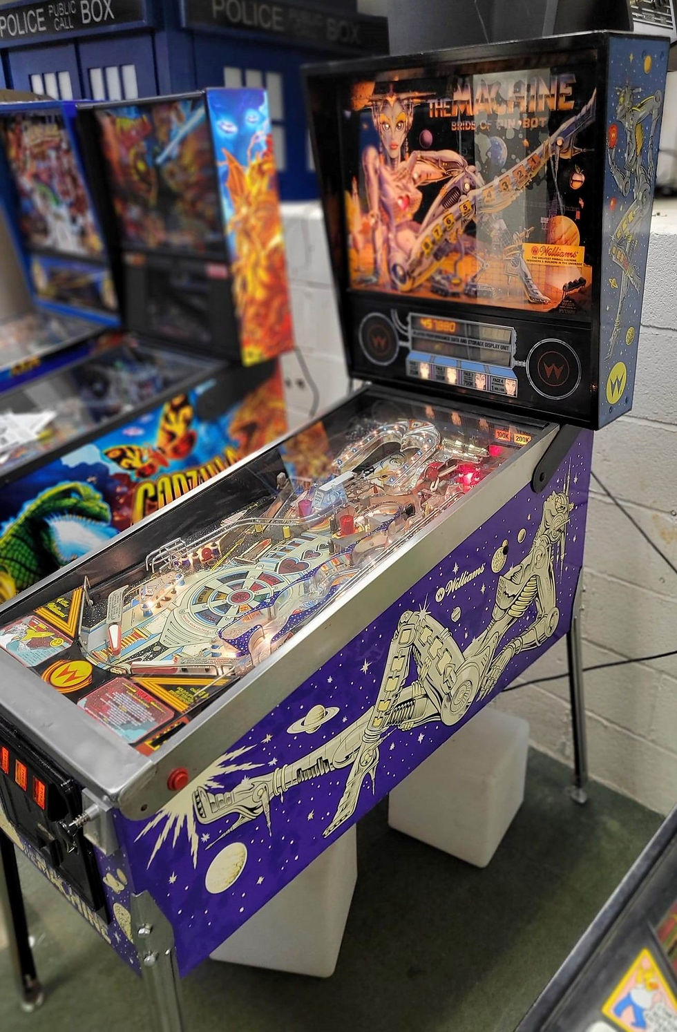 The Machine bride Of Pin Bot