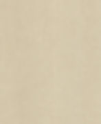 Sahara Beige (F602A).jpg