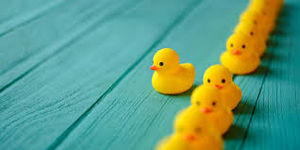 Ducks in a Row
