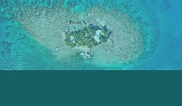 ReefCI Major Project Image.jpg