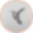 ROn Harel Highlights-10.png