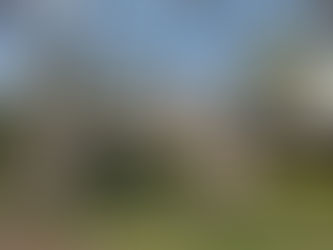 Consider Pre-Listing Inspections