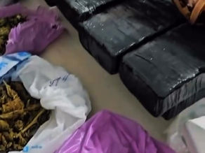 VÍDEO: Ação da ROTAM causa grande prejuízo ao tráfico de drogas no Sertão paraibano