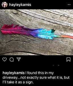 rainbow feather.jpeg