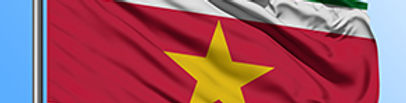 TIV Organized Workshops for the Government of Suriname IP Agency