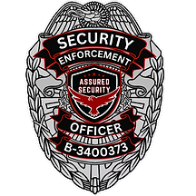 Assured Security Corp