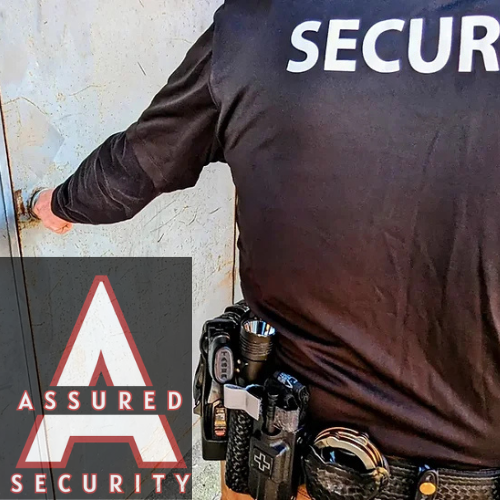 High angle view of a professional security guard observing a property