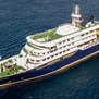 Confirma la OMS 2 casos de hantavirus en crucero holandés