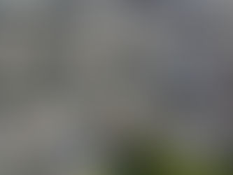 Avanza el despojo: Israel reabre el proceso de registro de tierras en Cisjordania ocupada