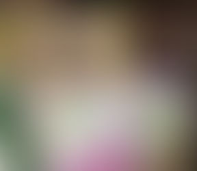 Quejas de la Cámara de la Industria Editorial por Libros de Texto Gratuitos