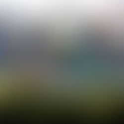 Avanza venta de boletos para los Olímpicos de Los Ángeles