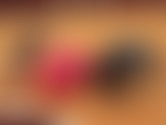 Satisfacción de empresarios taurinos: se mantienen corridas y novilladas en Aguascalientes