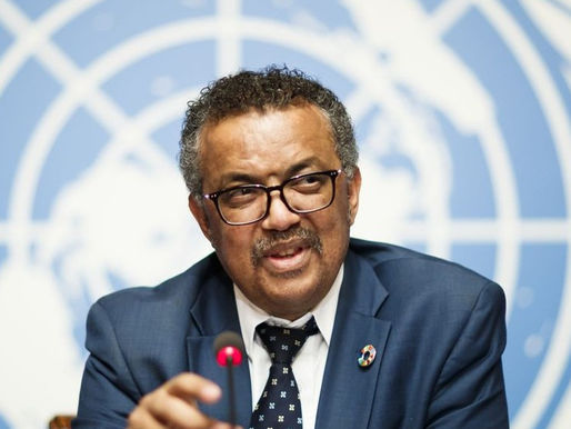 Encuentra la OMS situación desoladora en 2 hospitales del norte de Gaza