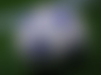 Pelean PSG y Arsenal por el segundo boleto para la final de la Champions