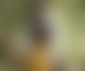 Decenas de miles de niños han cruzado el Darién este año: 40% más que en 2023