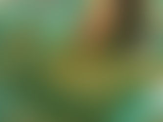 Debuta filme de Taylor Swift al tope de la taquilla en Norteamérica